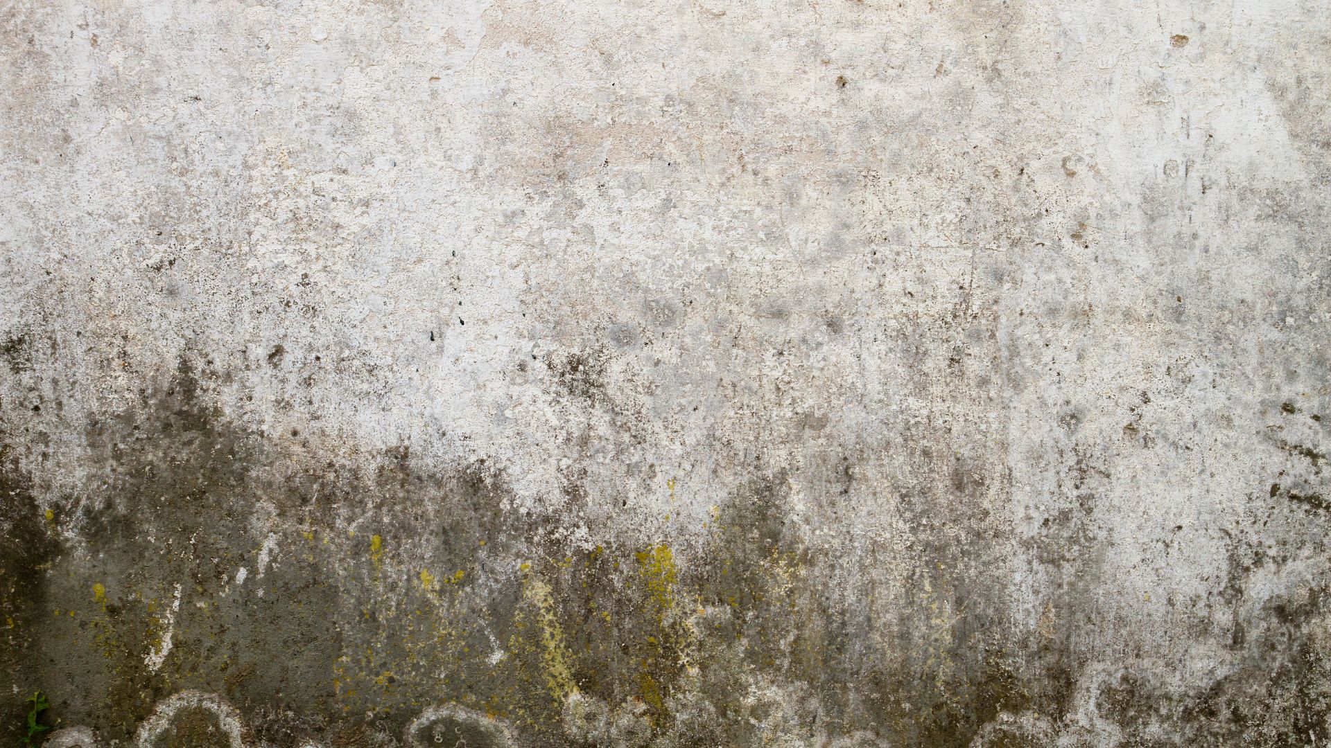 Causes des murs humides