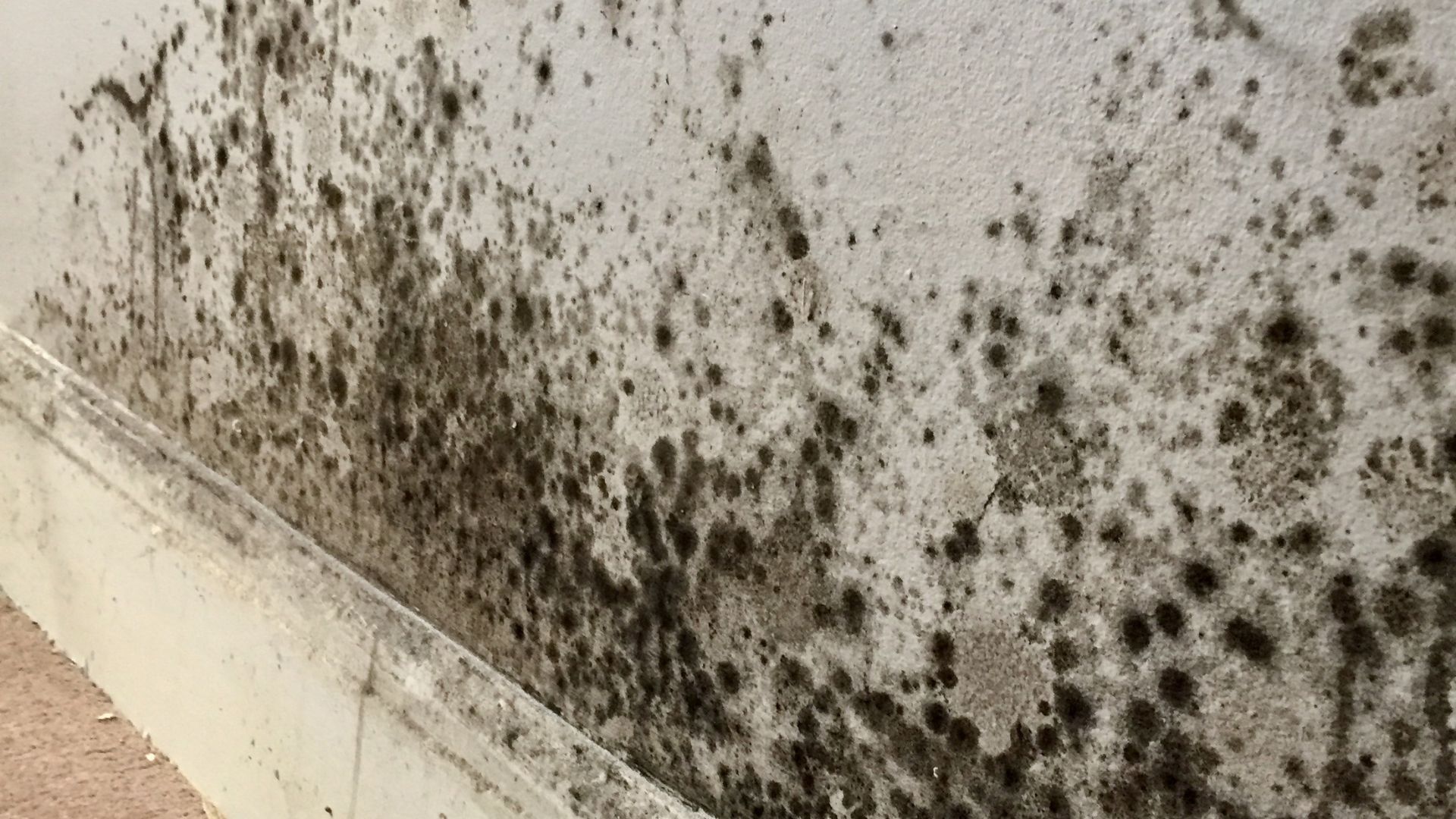 Comment assainir un mur humide intérieur ? Renovcanalisation