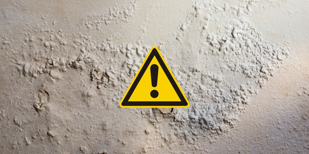 Quels sont les dangers lies aux murs humides