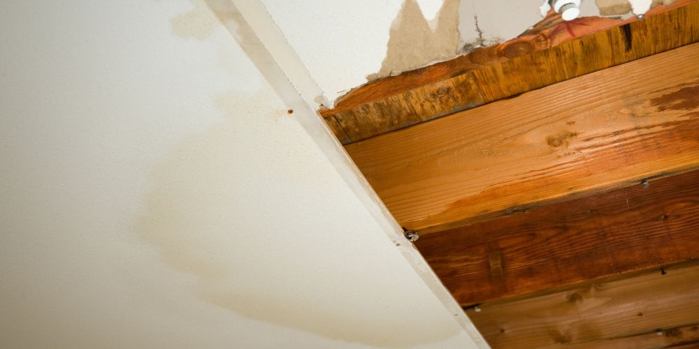 Quels sont les symptomes dune rupture de canalisation deau