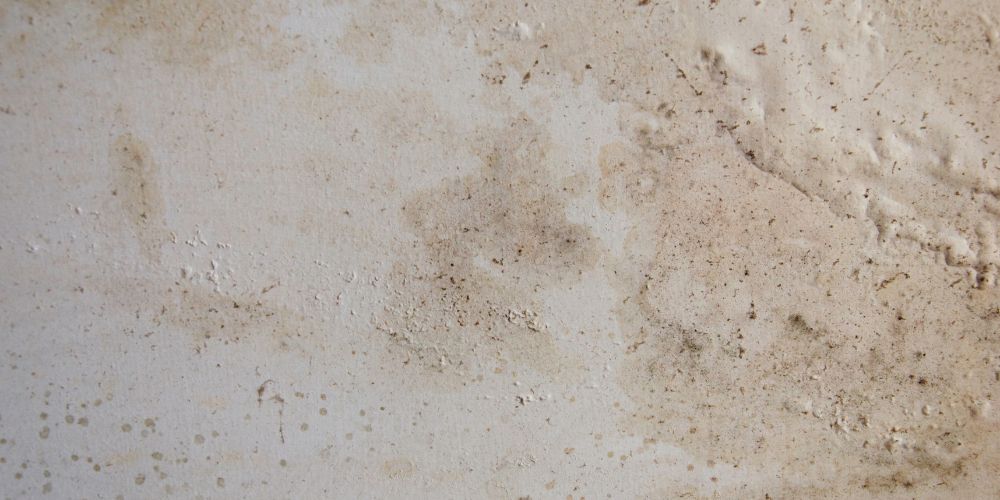 Trouver et eliminer la cause initiale de lhumidite